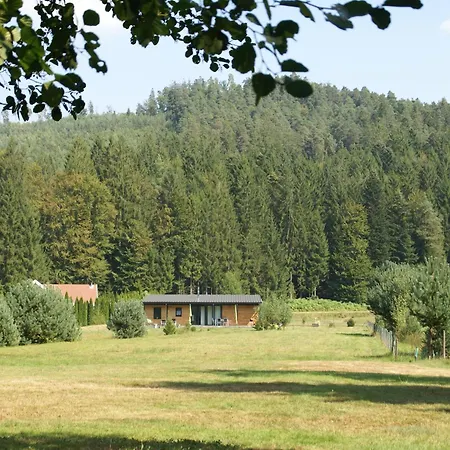 Family Escape With Garden Abreschviller