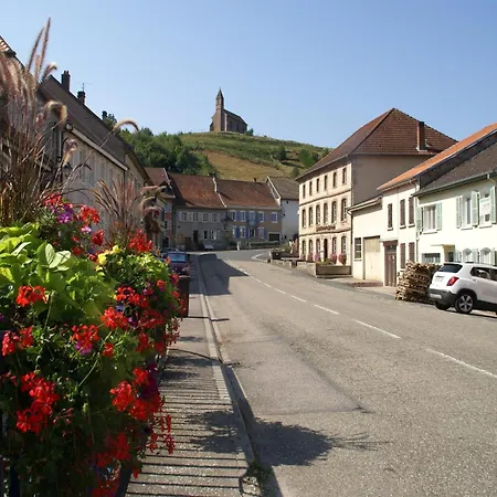 Family Escape With Garden * Abreschviller