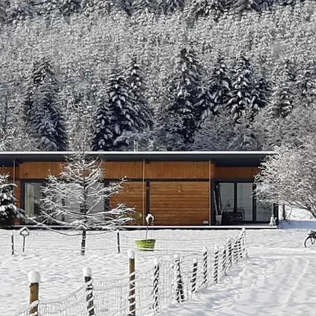 Family Escape With Garden 펜션 Abreschviller