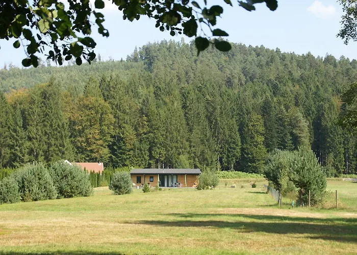 Family Escape With Garden Abreschviller